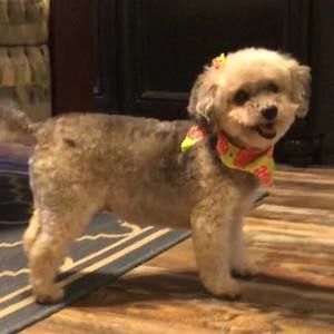 Meet your Posher, Jackie